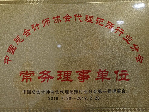 中國總會計師協會代理記賬行業分會常務理事單位